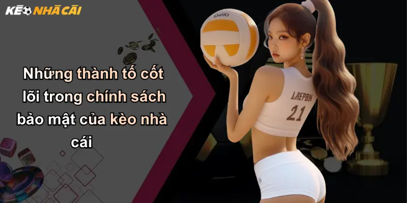 Những thành tố cốt lõi trong chính sách bảo mật của kèo nhà cái