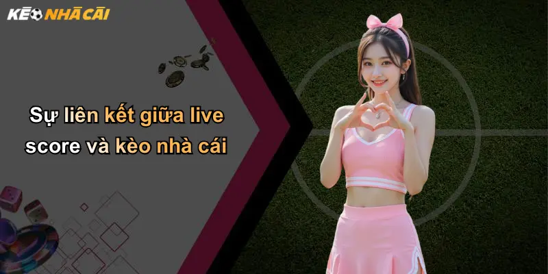 Sự liên kết giữa live score và kèo nhà cái