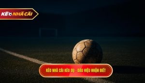 kèo nhà cái kèo dụ – dấu hiệu nhận biết