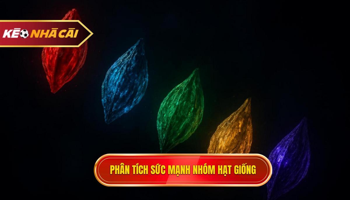 Phân tích sức mạnh các nhóm hạt giống hàng đầu