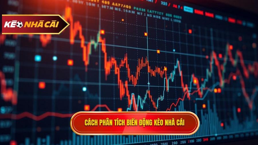 Phân tích biến động tỷ lệ kèo nhà cái