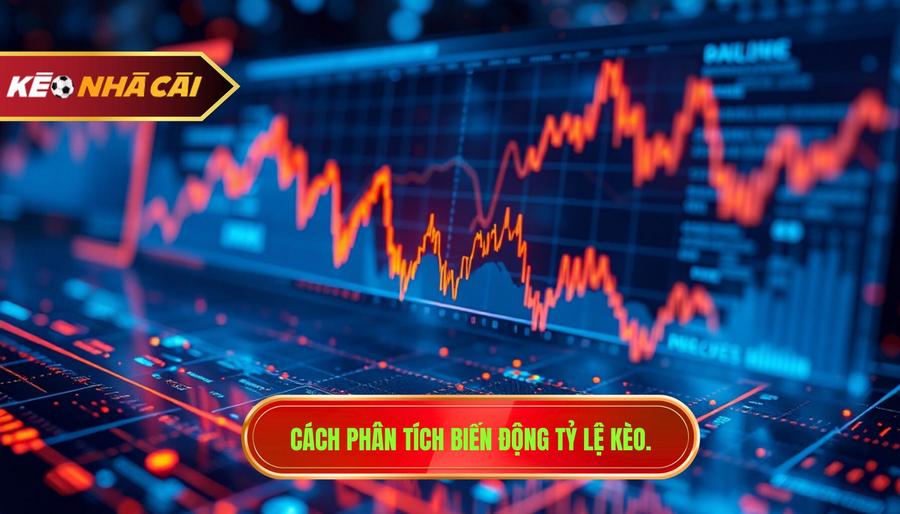 Phân tích biến động tỷ lệ kèo từ nhà cái