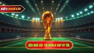 tin world cup